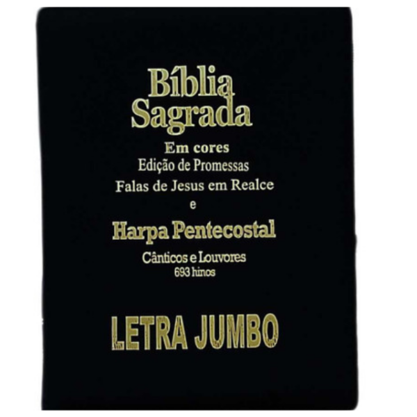 Bíblia Sagrada em couro sintético preto-Vol 1- letra Jumbo-2012